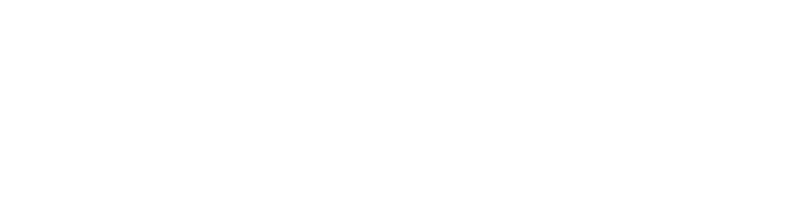 Websit Hosting